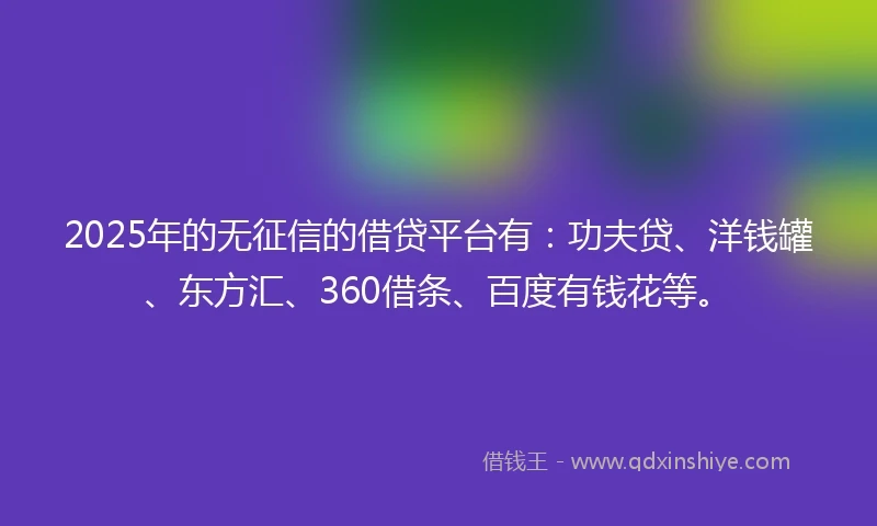 2025年的无征信的借贷平台有：功夫贷、洋钱罐、东方汇、360借条、百度有钱花等。