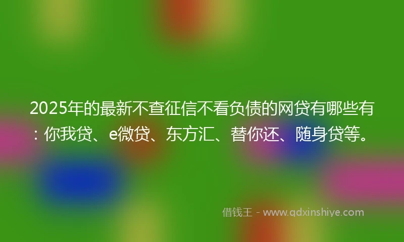 2025年的最新不查征信不看负债的网贷有哪些有：你我贷、e微贷、东方汇、替你还、随身贷等。