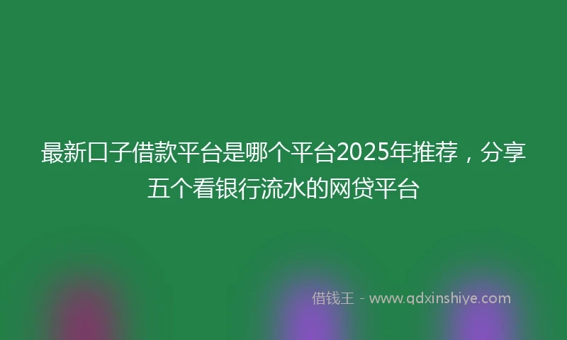 最新口子借款平台是哪个平台2025年推荐，分享五个看银行流水的网贷平台