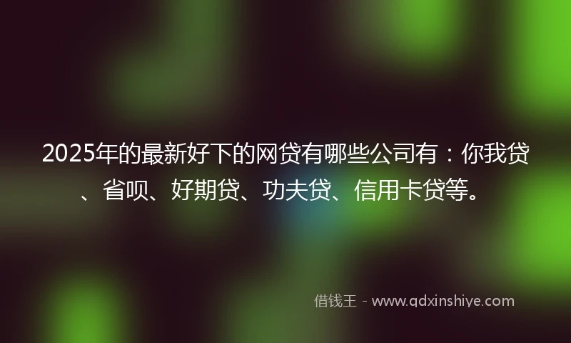 2025年的最新好下的网贷有哪些公司有：你我贷、省呗、好期贷、功夫贷、信用卡贷等。