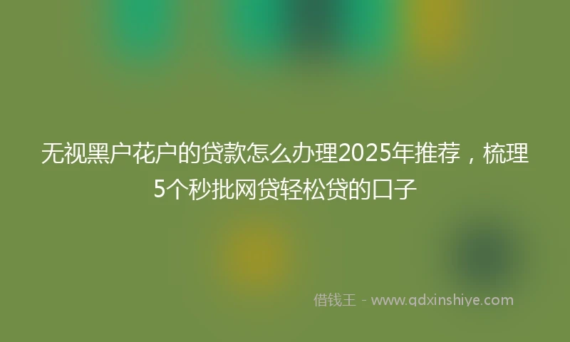 无视黑户花户的贷款怎么办理2025年推荐，梳理5个秒批网贷轻松贷的口子