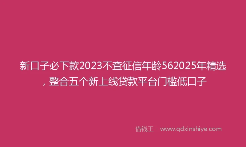 新口子必下款2023不查征信年龄562025年精选，整合五个新上线贷款平台门槛低口子