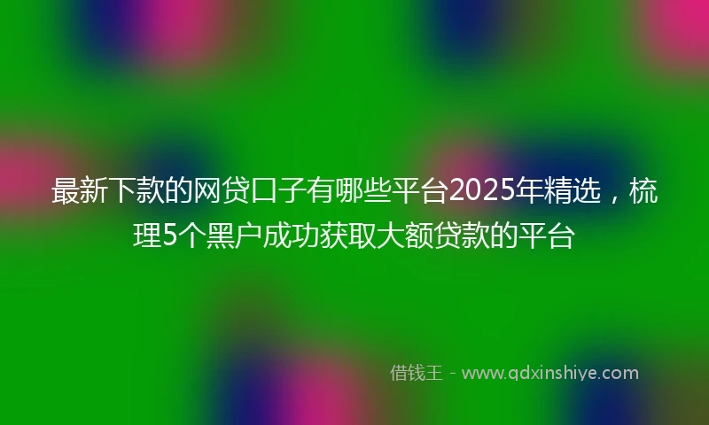 最新下款的网贷口子有哪些平台2025年精选，梳理5个黑户成功获取大额贷款的平台