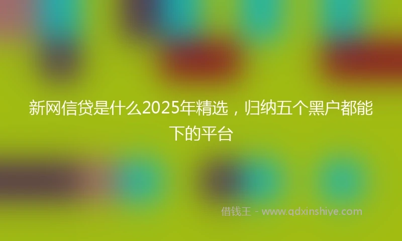 新网信贷是什么2025年精选，归纳五个黑户都能下的平台