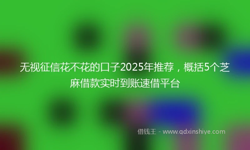 无视征信花不花的口子2025年推荐，概括5个芝麻借款实时到账速借平台