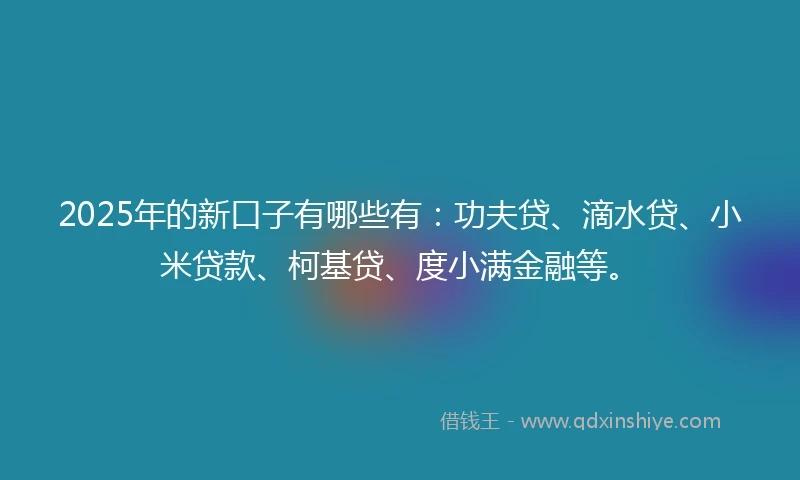2025年的新口子有哪些有：功夫贷、滴水贷、小米贷款、柯基贷、度小满金融等。