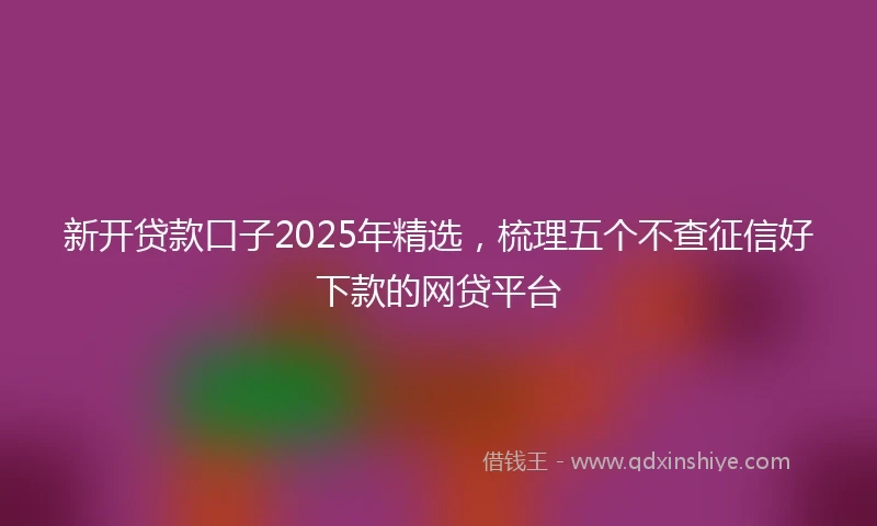 新开贷款口子2025年精选，梳理五个不查征信好下款的网贷平台