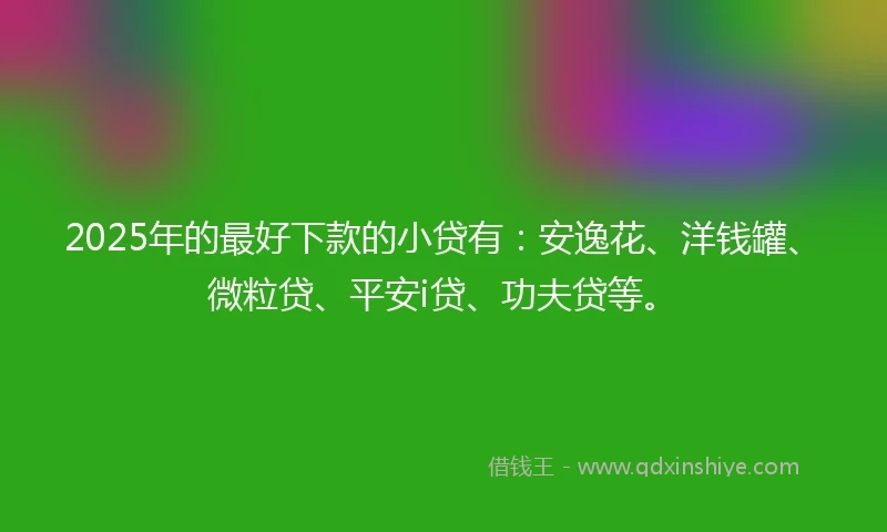 2025年的最好下款的小贷有：安逸花、洋钱罐、微粒贷、平安i贷、功夫贷等。