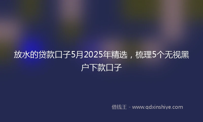放水的贷款口子5月2025年精选，梳理5个无视黑户下款口子