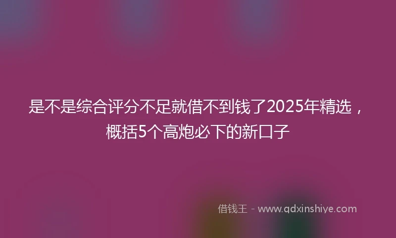 是不是综合评分不足就借不到钱了2025年精选，概括5个高炮必下的新口子