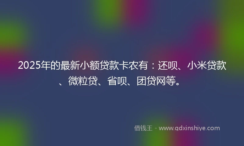 2025年的最新小额贷款卡农有：还呗、小米贷款、微粒贷、省呗、团贷网等。