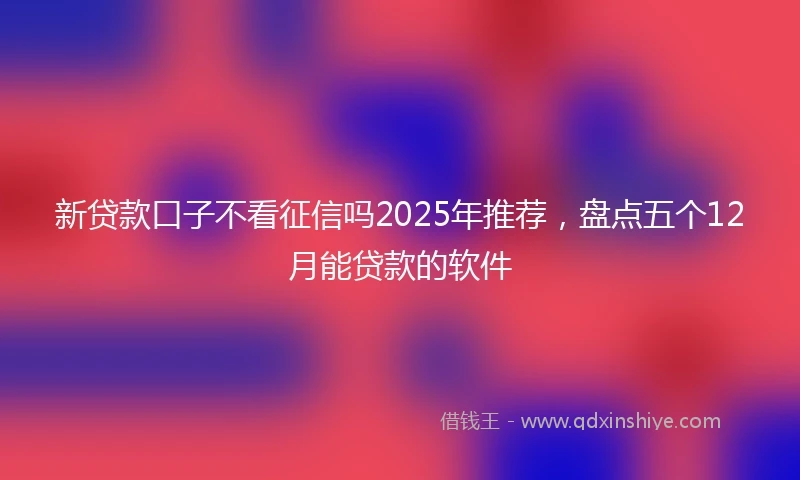 新贷款口子不看征信吗2025年推荐，盘点五个12月能贷款的软件