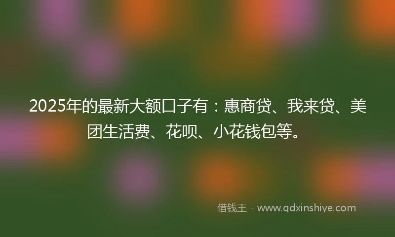 2025年的最新大额口子有：惠商贷、我来贷、美团生活费、花呗、小花钱包等。