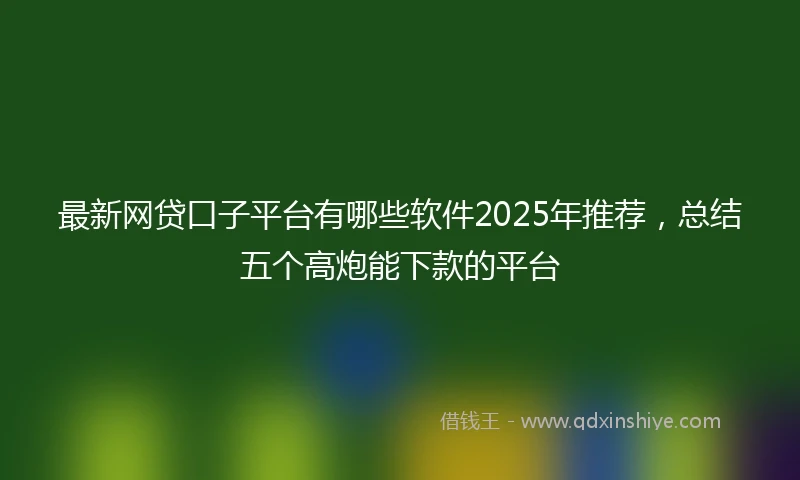 最新网贷口子平台有哪些软件2025年推荐，总结五个高炮能下款的平台