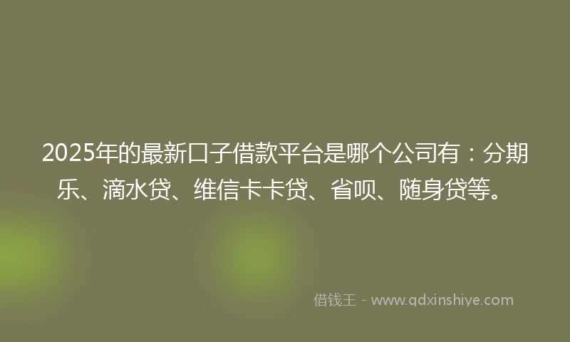 2025年的最新口子借款平台是哪个公司有：分期乐、滴水贷、维信卡卡贷、省呗、随身贷等。