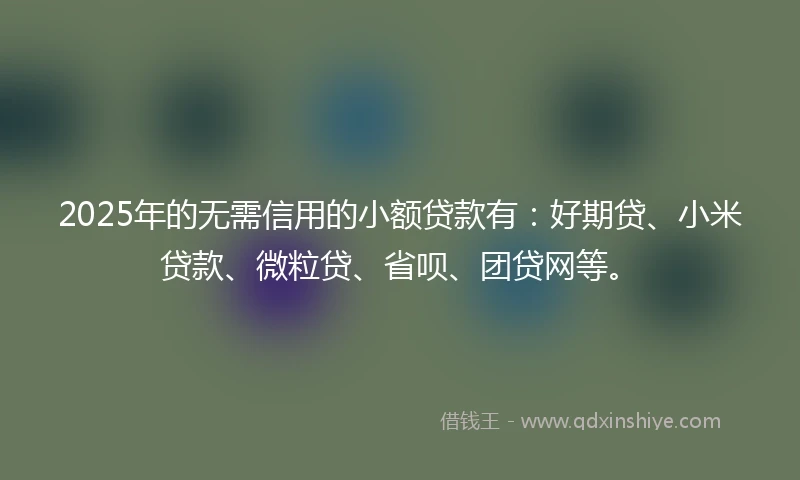 2025年的无需信用的小额贷款有：好期贷、小米贷款、微粒贷、省呗、团贷网等。
