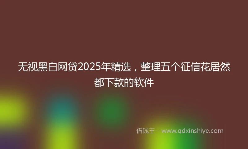 无视黑白网贷2025年精选，整理五个征信花居然都下款的软件