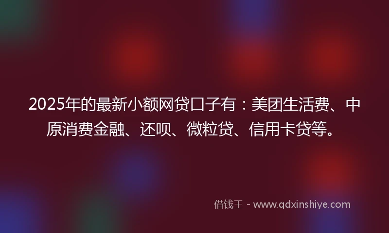 2025年的最新小额网贷口子有：美团生活费、中原消费金融、还呗、微粒贷、信用卡贷等。