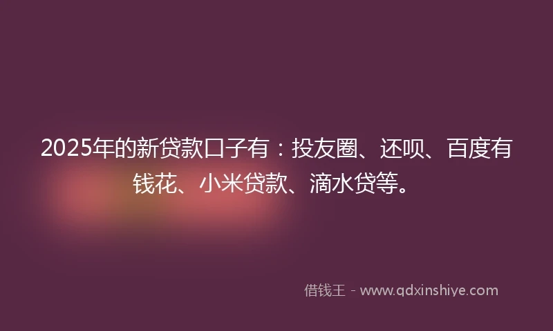 2025年的新贷款口子有：投友圈、还呗、百度有钱花、小米贷款、滴水贷等。
