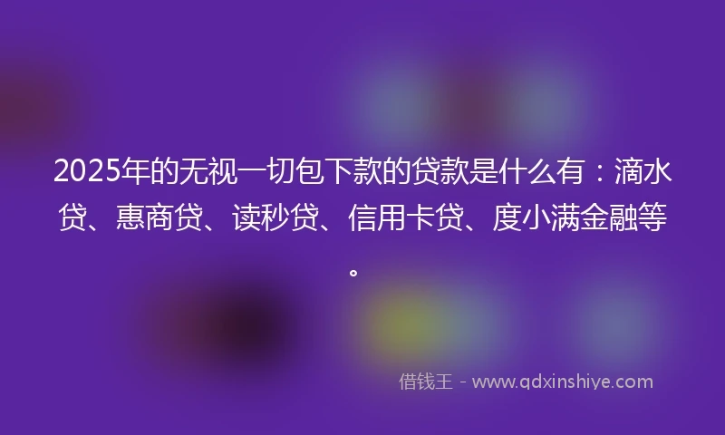 2025年的无视一切包下款的贷款是什么有：滴水贷、惠商贷、读秒贷、信用卡贷、度小满金融等。
