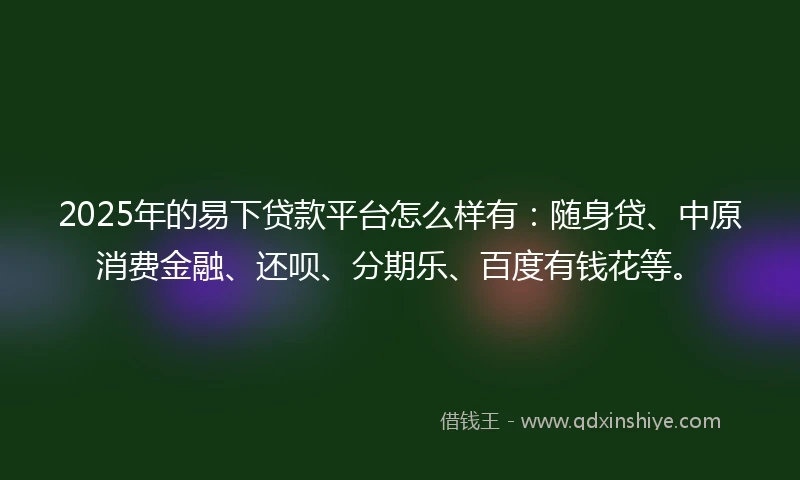 2025年的易下贷款平台怎么样有：随身贷、中原消费金融、还呗、分期乐、百度有钱花等。
