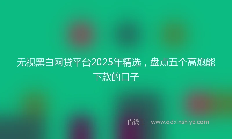 无视黑白网贷平台2025年精选，盘点五个高炮能下款的口子