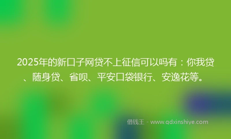 2025年的新口子网贷不上征信可以吗有：你我贷、随身贷、省呗、平安口袋银行、安逸花等。