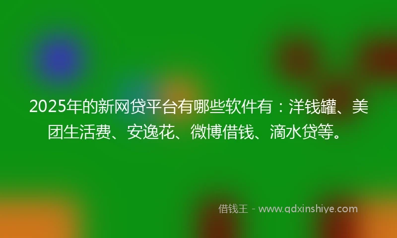 2025年的新网贷平台有哪些软件有：洋钱罐、美团生活费、安逸花、微博借钱、滴水贷等。