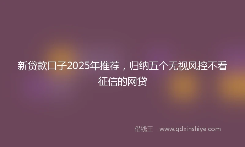 新贷款口子2025年推荐，归纳五个无视风控不看征信的网贷