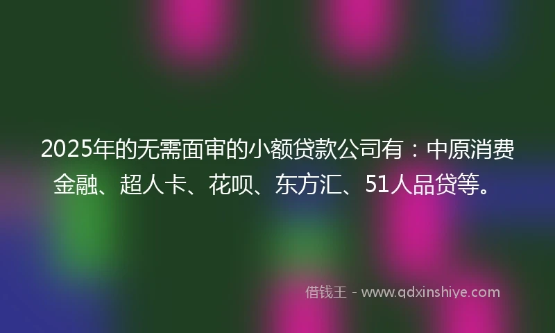 2025年的无需面审的小额贷款公司有：中原消费金融、超人卡、花呗、东方汇、51人品贷等。