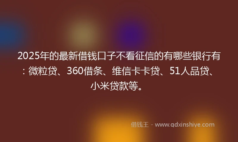 2025年的最新借钱口子不看征信的有哪些银行有：微粒贷、360借条、维信卡卡贷、51人品贷、小米贷款等。
