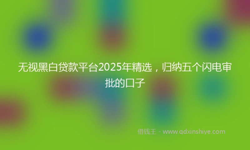 无视黑白贷款平台2025年精选，归纳五个闪电审批的口子