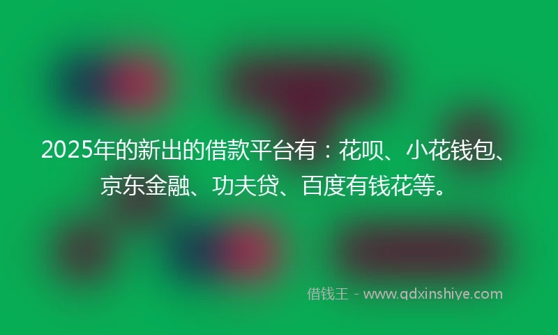 2025年的新出的借款平台有：花呗、小花钱包、京东金融、功夫贷、百度有钱花等。