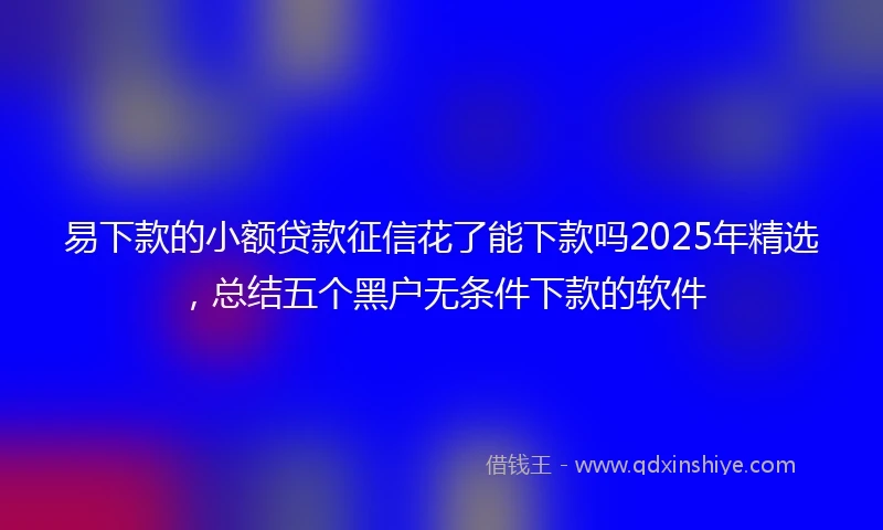 易下款的小额贷款征信花了能下款吗2025年精选，总结五个黑户无条件下款的软件