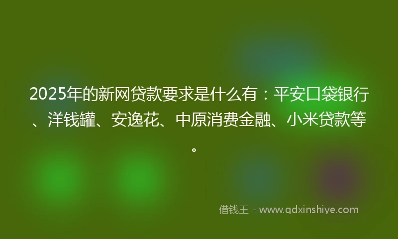 2025年的新网贷款要求是什么有：平安口袋银行、洋钱罐、安逸花、中原消费金融、小米贷款等。