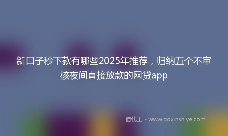 新口子秒下款有哪些2025年推荐，归纳五个不审核夜间直接放款的网贷app
