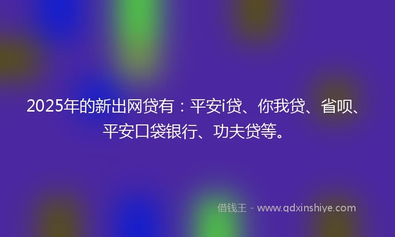 2025年的新出网贷有：平安i贷、你我贷、省呗、平安口袋银行、功夫贷等。