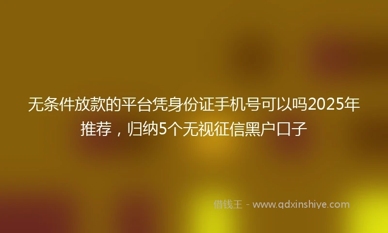 无条件放款的平台凭身份证手机号可以吗2025年推荐,归纳5个无视征信黑户口子