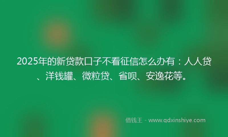 2025年的新贷款口子不看征信怎么办有：人人贷、洋钱罐、微粒贷、省呗、安逸花等。
