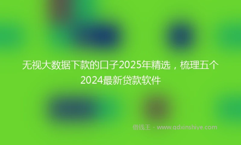 无视大数据下款的口子2025年精选，梳理五个2024最新贷款软件