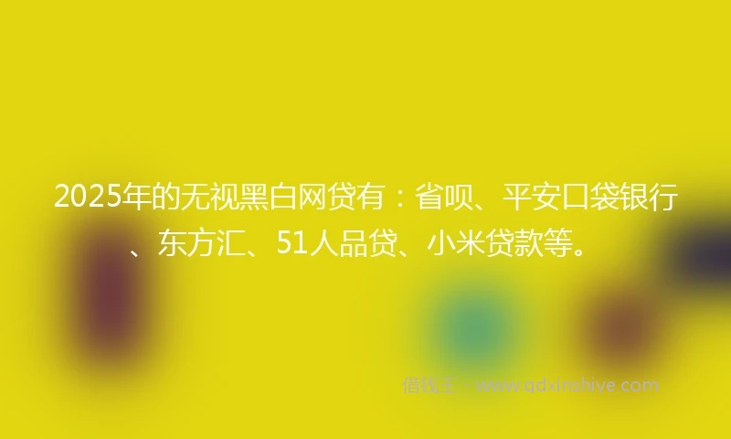 2025年的无视黑白网贷有：省呗、平安口袋银行、东方汇、51人品贷、小米贷款等。