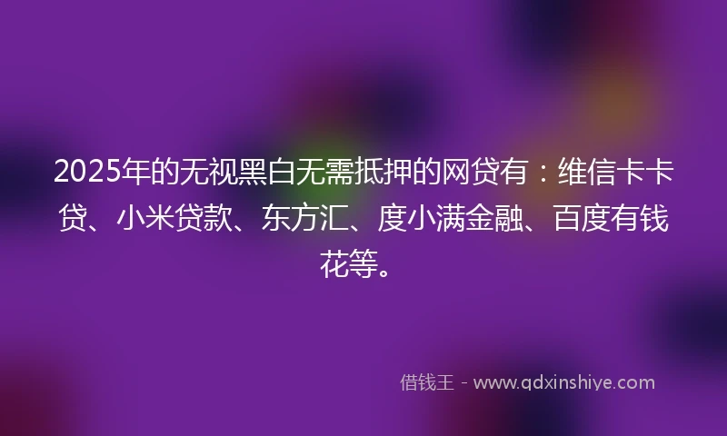 2025年的无视黑白无需抵押的网贷有：维信卡卡贷、小米贷款、东方汇、度小满金融、百度有钱花等。