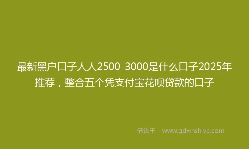 最新黑户口子人人2500-3000是什么口子2025年推荐，整合五个凭支付宝花呗贷款的口子