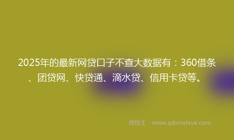 2025年的最新网贷口子不查大数据有：360借条、团贷网、快贷通、滴水贷、信用卡贷等。
