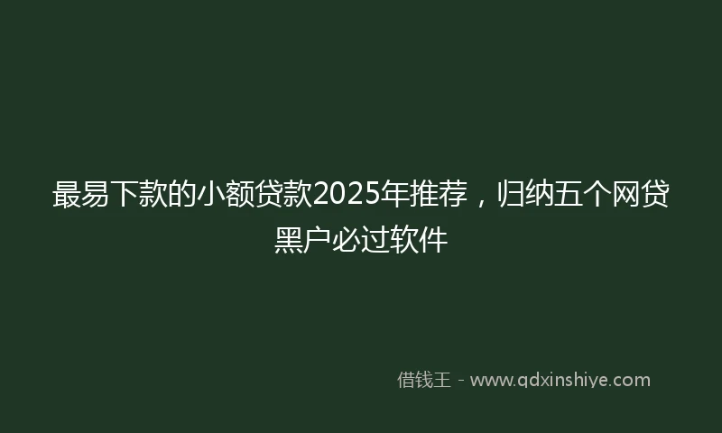 最易下款的小额贷款2025年推荐,归纳五个网贷黑户必过软件
