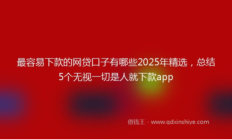 最容易下款的网贷口子有哪些2025年精选，总结5个无视一切是人就下款app