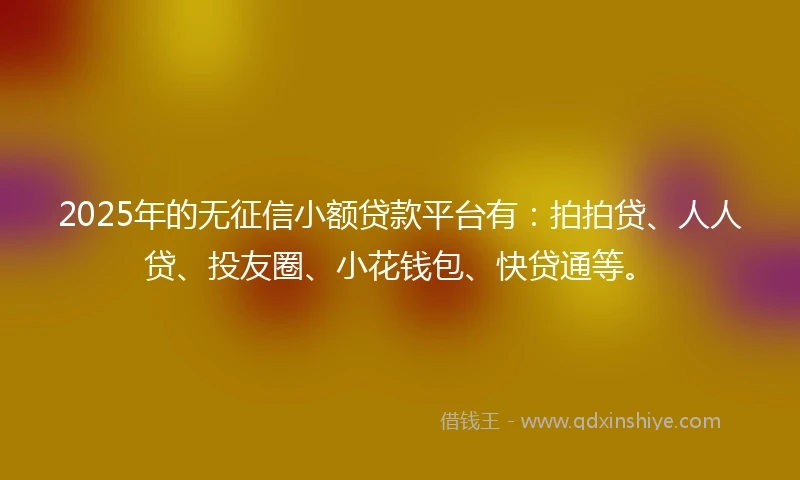 2025年的无征信小额贷款平台有：拍拍贷、人人贷、投友圈、小花钱包、快贷通等。