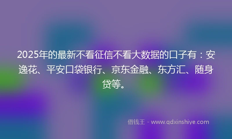 2025年的最新不看征信不看大数据的口子有：安逸花、平安口袋银行、京东金融、东方汇、随身贷等。