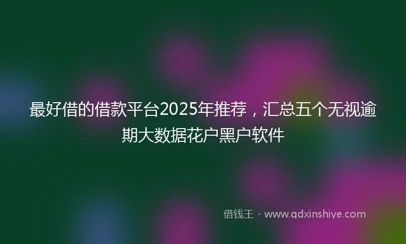 最好借的借款平台2025年推荐，汇总五个无视逾期大数据花户黑户软件
