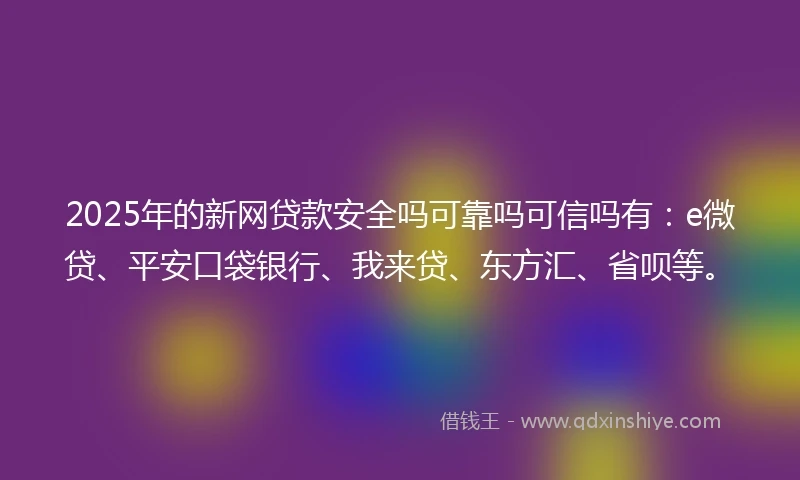 2025年的新网贷款安全吗可靠吗可信吗有：e微贷、平安口袋银行、我来贷、东方汇、省呗等。